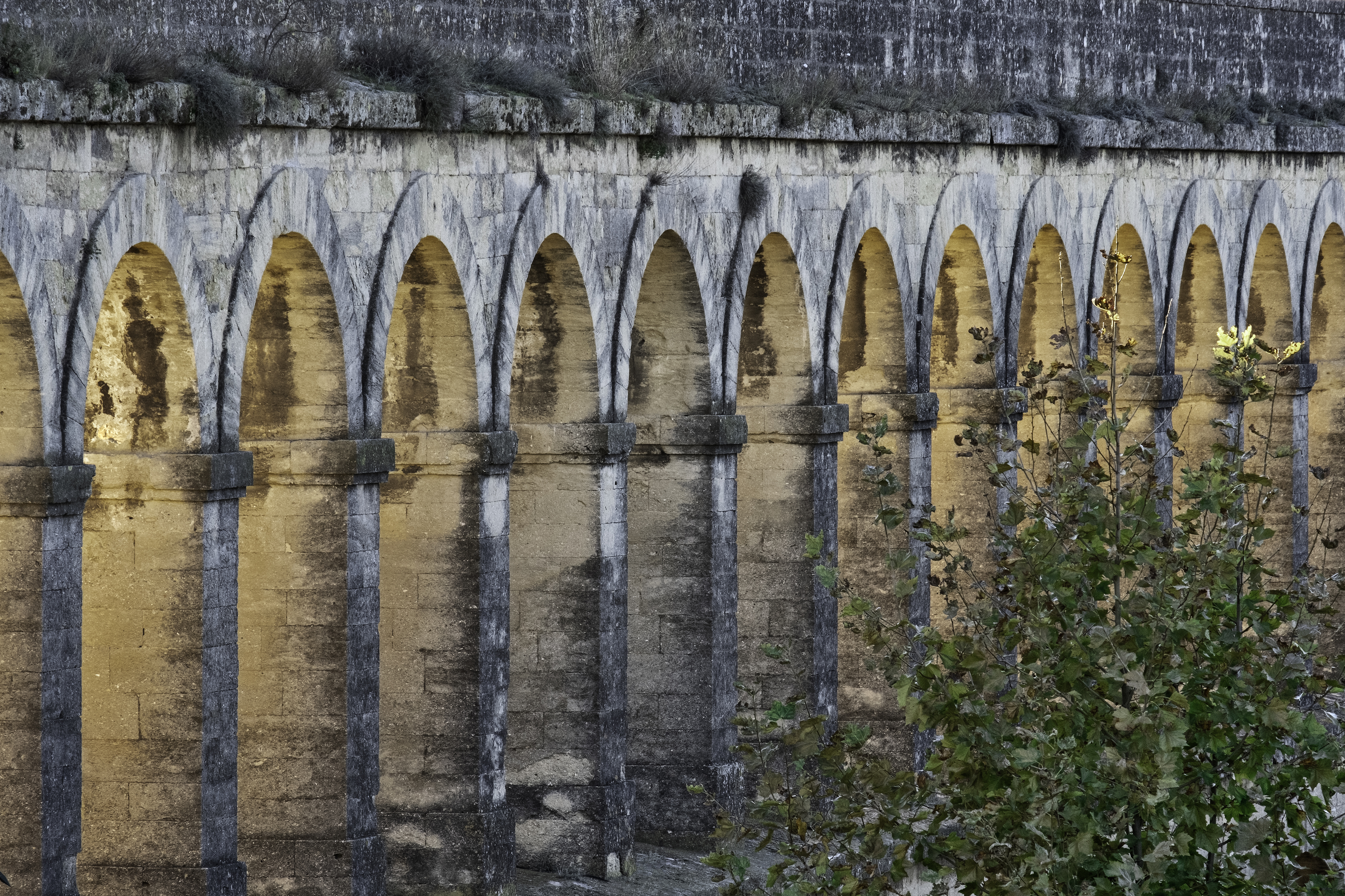 Stone aqueduct arches, Montpellier